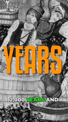 France: The Heart of Old World Wine Production!