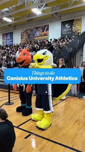 Buffalo doesn’t talk about this enough... A Canisius basketball game with @griffs_mbb brings high-energy hoops, great seating selection, and real Buffalo spirit for an underrated night out 💥 If you’re looking for something new to do with your friends, def snag a ticket while the season is still here! Comment BASKETBALL 26 to learn more 🏀 📍 1829 Main St, Buffalo, NY . . . . #caniciusuniversityathletics #gogriffs #buffalony #buffalo #sobpartner