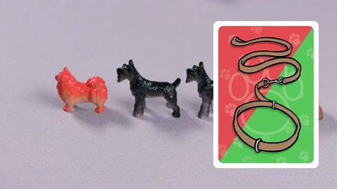 SimplyFun Walk The Dogs Math Game - One of The Most Fun Games for Kids Ages 8 and Up - Play to Practice Counting & Sorting- 2 to 5 Players