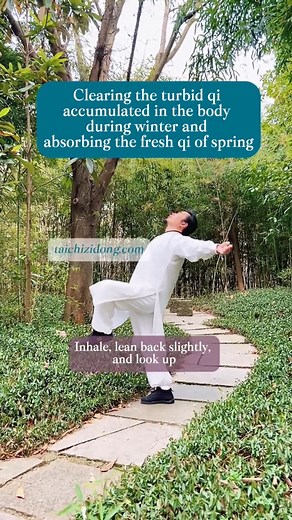 88K views · 1.6K reactions | Spring qigong: Dead Trees Revived in...