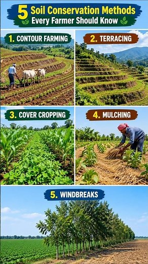 🌱 5 Soil Conservation Methods Every Farmer Should Know