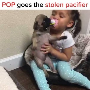 15K views · 611 reactions | She's a puppy so, naturally, she thought the pacifier belonged to her. | Waggle | Facebook