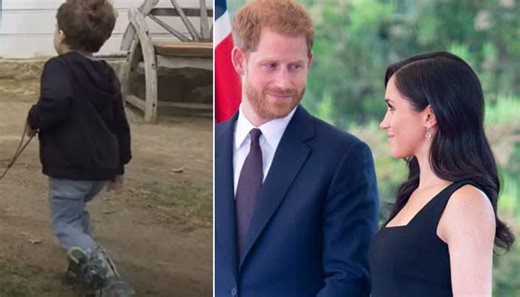 Video: Prince Harry's video of Archie on walk with family dog, Lilibet