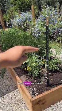 Community garden week 6 #communitygarden
