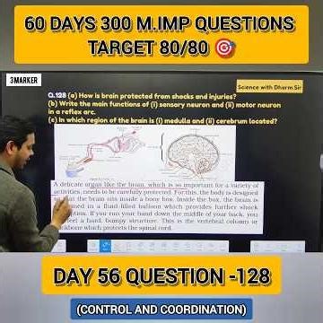 Day 56 | MCQ–128 | Control and Coordination | 60 Days – 300 Questions