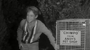 The Munsters S01:E25 - Come Back, Little Googie