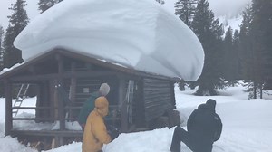 1.3M views · 5.2K reactions | I post this each year and people always...