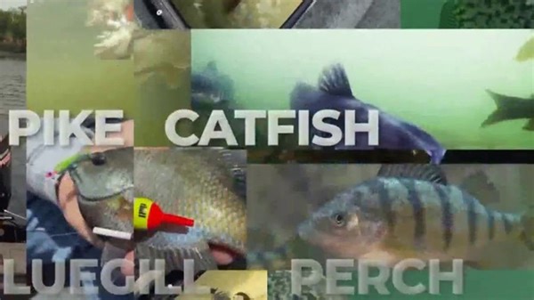 Thill TV Spot, 'Floats for Multiple Species'