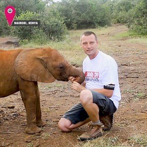 We dare you to resist this sweet baby elephant! 🐘💕 | Fur Family