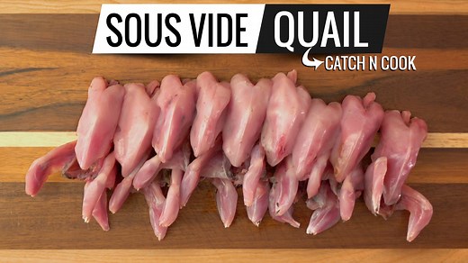 Sous Vide Quail! This is part two of our trip and one of my favorite episodes of all times. I hope you like it too! HOW TO COOK QUAIL SOUS VIDE I cooked it for 2hrs @ (149°F / 65°C) * INGREDIENTS * I used for this sous vide cook. Quail 1 1/2 cup of plain yogurt 1 tablespoon of salt 1 tablespoon of garlic powder 1 tablespoon of chili powder 1 teaspoon of pepper 1 tablespoon of tumeric * EVERYTHING I USE in one LINK * https://www.amazon.com/shop/sousvidee... * Beginner Basic Sous Vide Kit * Circul