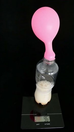 Conservation of Mass Experiment