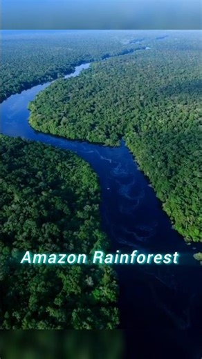 Why haven't scientists explored the Amazon rainforest yet? #facts #forest