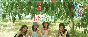 桃（もも）狩り | 体験 | 道の駅 アグリパーク竜王