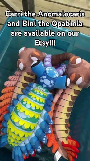 The best plush Anomalocaris and Opabinia out there! Carri and Bini are stylized and adorable!