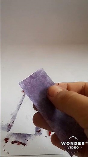 making litmus paper with 🌺 hibiscus