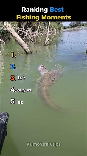 Ranking Best Fishing Moments😱🧜‍♂️ #ranking #top5 #fishing