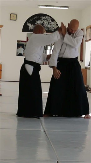 121 Aikido, Sokuhoirimi, Yufukan Moscow #aikido #iaido