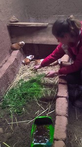 En Los Andes. Ayudando un poco en la granja de conejos para ganarnos el almuerzo de hoy. | 𝐀𝐧𝐚 𝐘𝐧𝐭𝐢