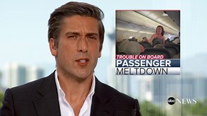 Passenger removed from plane after becoming 'erratic and irate'