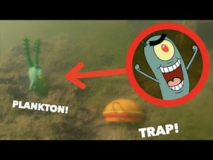 I CAPTURED PLANKTON IN REAL LIFE! *From Spongebob!*