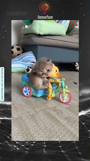Đây là tôi mỗi buổi sáng khi đi làm