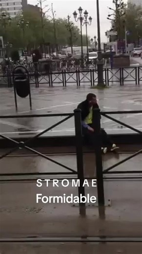 #стромайкз #paulvanhaver #stromae #formidable #racinecarree #belgium
