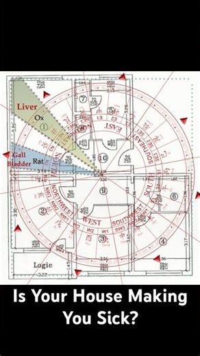 How Your Home is Physically Making You Sick (Feng Shui)