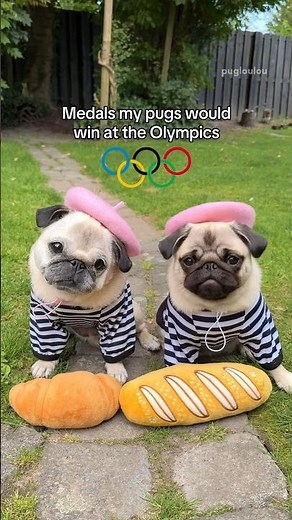 Medals my PUGS would win at the OLYMPICS 🥇😂 #dog #pug #shorts