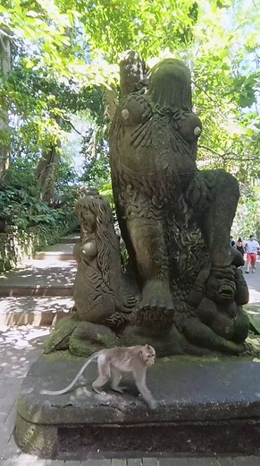 2.6K views · 78 reactions | Ubud monkey forest | Galih Bali Tour - Bali Driver and Guide | Facebook