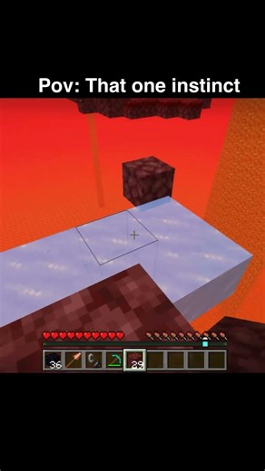 Pov: That one instinct... #minecraft #memes