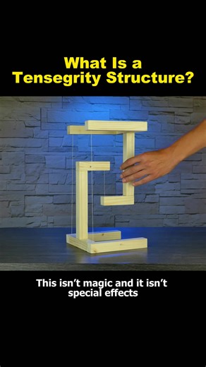 The principle of tensegrity#knowledge #tensegrity #tiktok #fyp | tensegrity