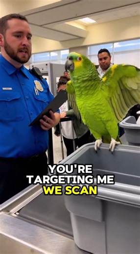 Parrot files discrimination lawsuit against airport security #funny #shorts