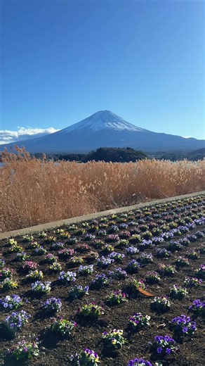 Exploring Mount Fuji: A Must-Visit in Japan