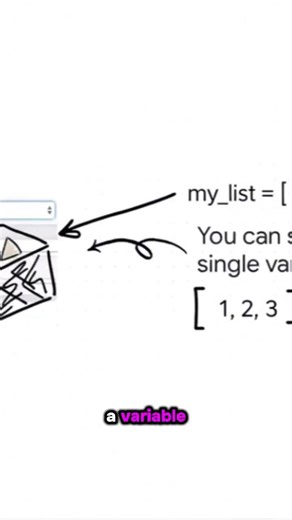 How to store and organize information in Python using variables and lists