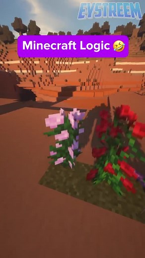 Exploring Minecraft Logic with Hilarious Memes