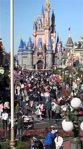 Disney World Crowd Monday January 19th