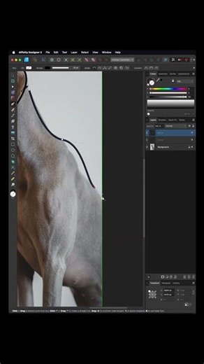 Creating Animal Outline Logos | Affinity Designer Tutorial