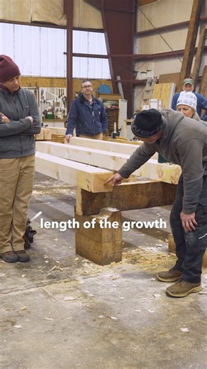 422K views · 6.3K reactions | How do you predict the way in which a timber will move as it dries? • • • • #timberframe #timberframing #education #course #housebuilding #homebuilding #woodworking #shelterinstitute #explore #construction #homeownership #handmade #home #thinkbuildlive | Shelter Institute | Facebook