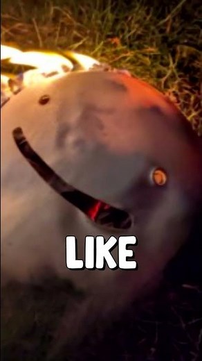 The ANGRIEST Dream Stan...😡 #shorts