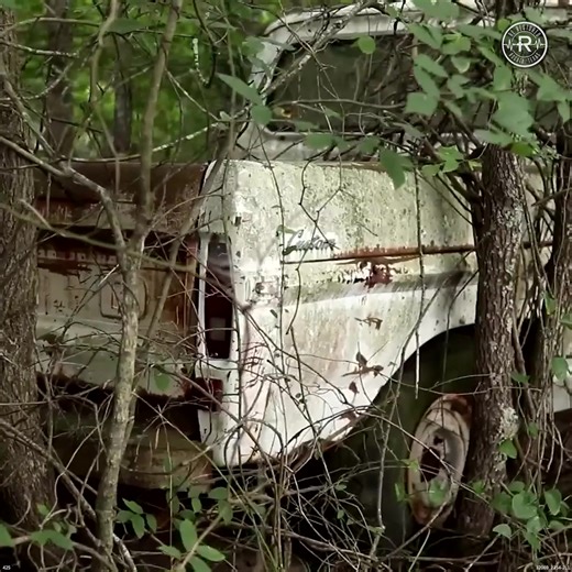 Abandoned Vehicles RESCUED From Swamp After 50 Years #revival #restored #satisfying #repair #cars #asmr #carrescue #classics #recovery #engine #rebuild #restore #rare #forgotten #oddlysatisfying #turninrust | Restored