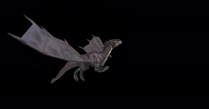 Dragon Taking Off Video
