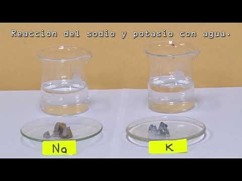 Reacción del sodio y potasio con agua