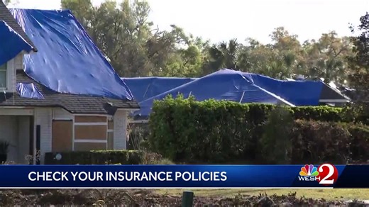 Make sure your insurance is up to par: What experts say to do before hurricanes threaten Florida