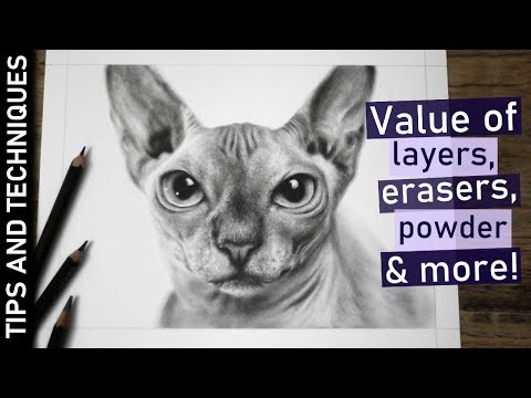 How to draw a Sphynx cat in graphite | Drawing skin