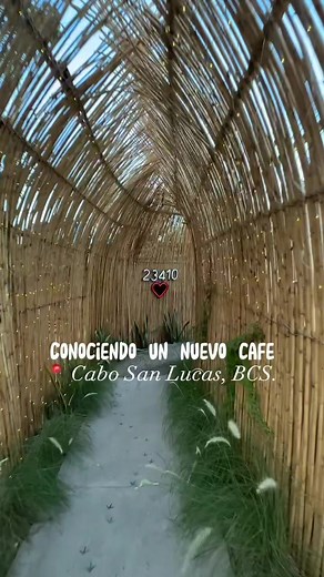 Les comparto este mini vlog de este lugar al que visitamos por primera vez 😊 #cabosanlucas #cabo #mexican #loscabos #coffeetiktok #couple