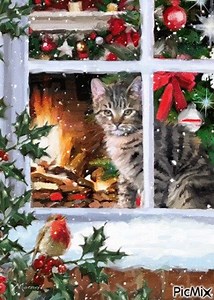 1.6K views · 131 reactions | https://www.picmix.com/pic/Snow-cat-9571006 | PicMix | Facebook