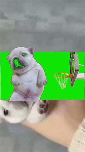 pibble edit basket explosion clones