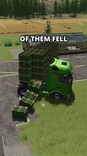 New bug in Farming Simulator 25