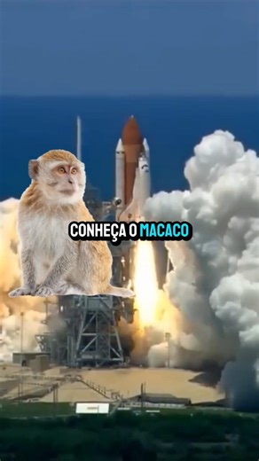 Meet the monkey that went to space! #space #nasa #monkey
