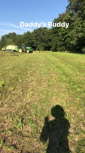 #Ohio #hay #farming #farmlife #balinghay | Homestead
